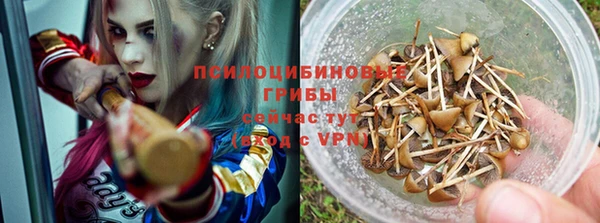 apvp Осинники