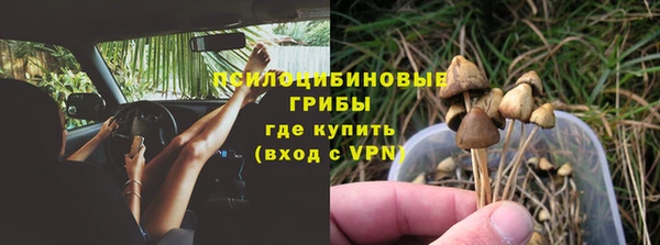 apvp Осинники