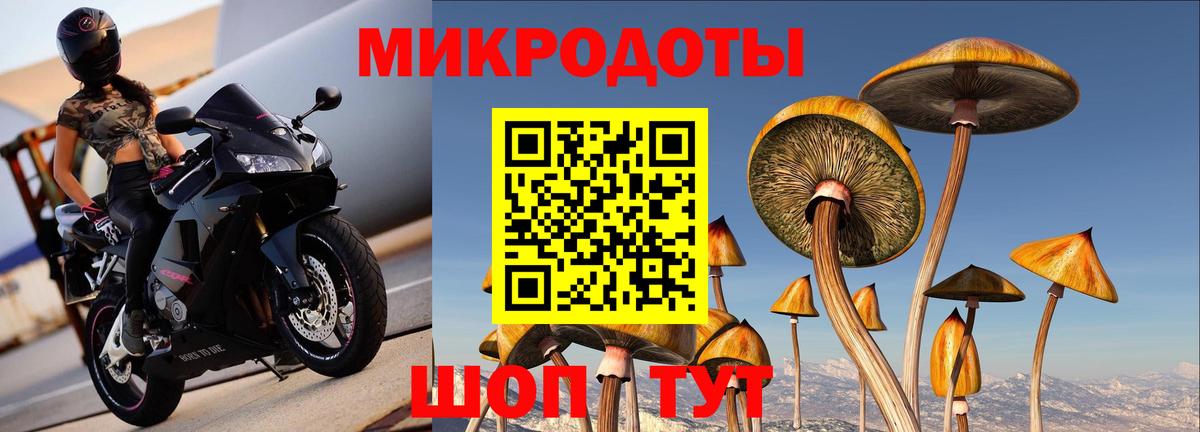 Псилоцибиновые грибы Magic Shrooms Майский