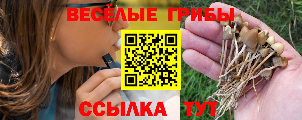 Псилоцибиновые грибы MAGIC MUSHROOMS  Вход с VPN  Майский 
