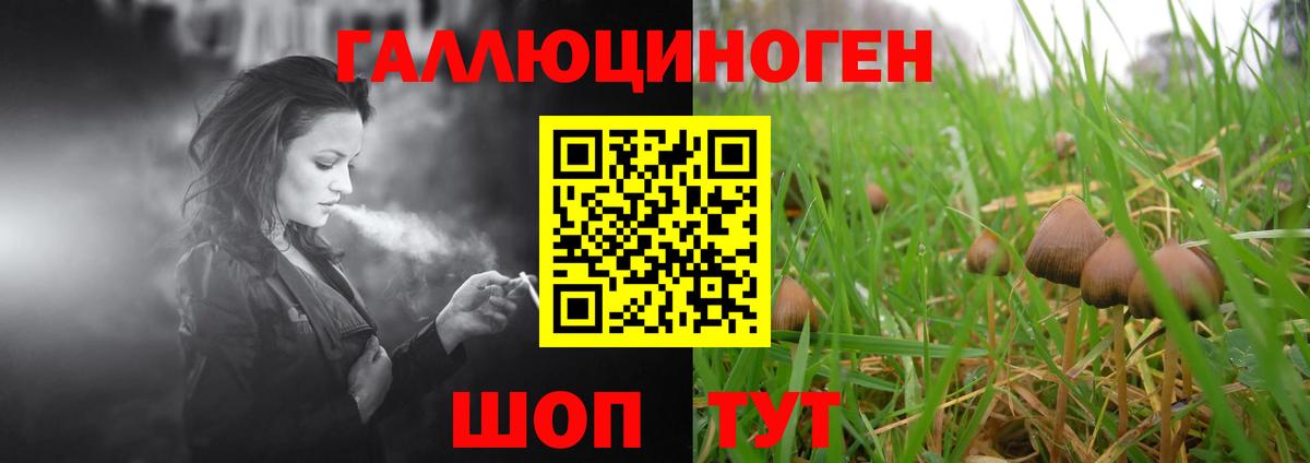 Псилоцибиновые грибы Cubensis  Псилоцибиновые грибы прущие грибы  Майский 