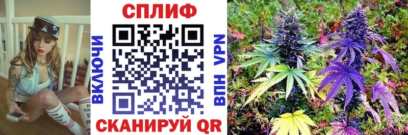 МАРИХУАНА план  даркнет сайт  Майский 
