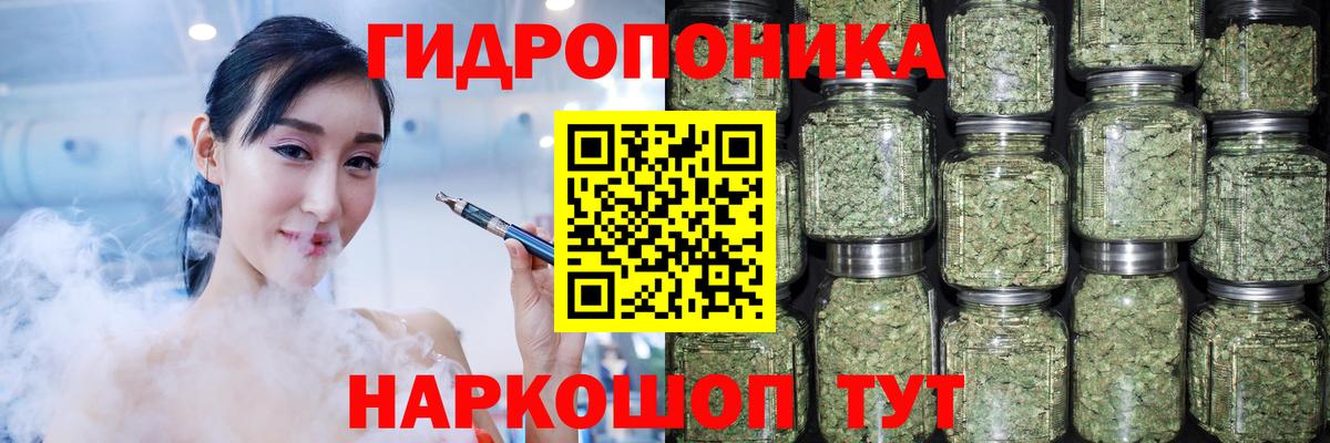 Бошки Шишки планчик Майский